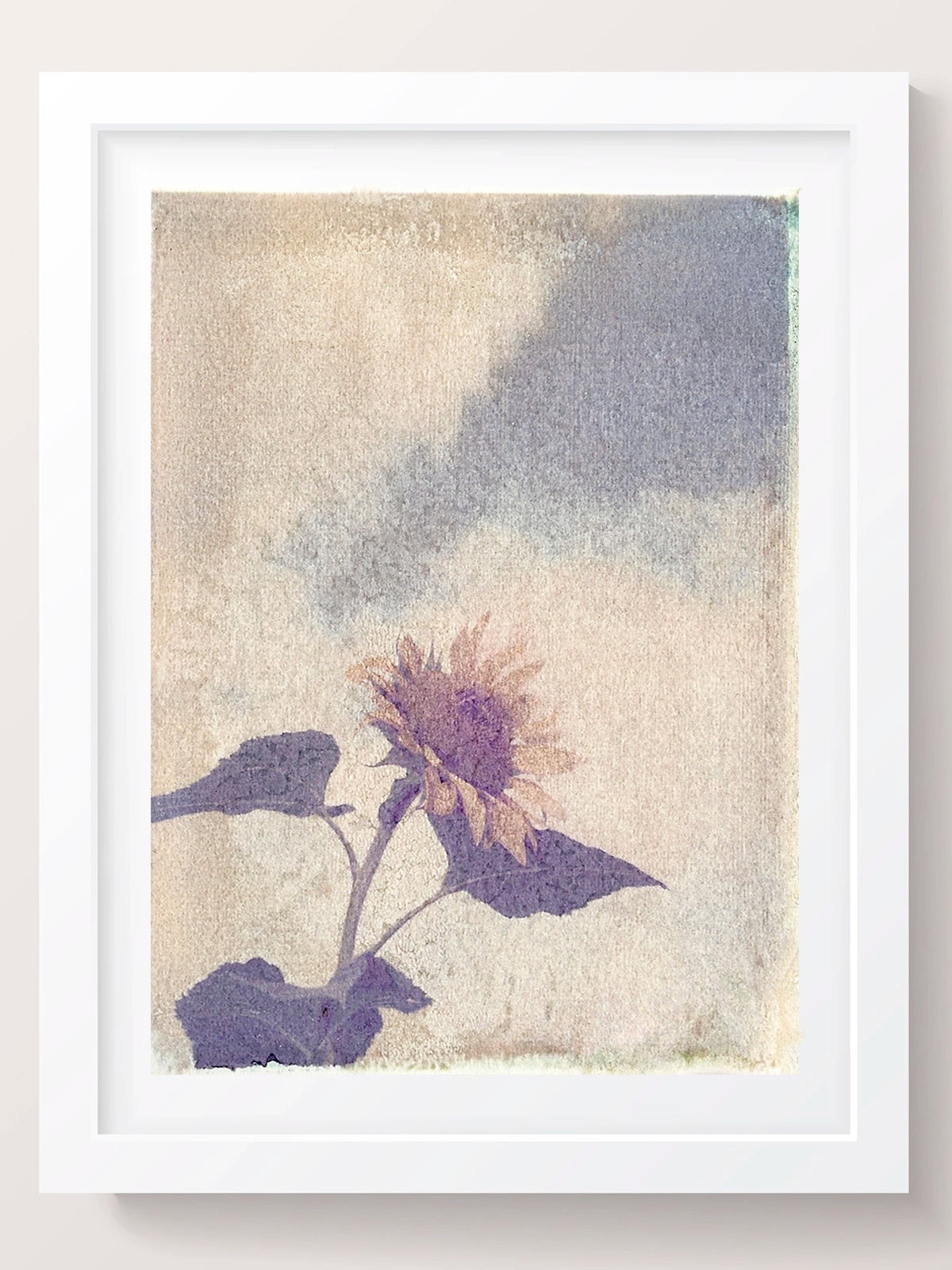 Sunflower Nature Wall Art Print
