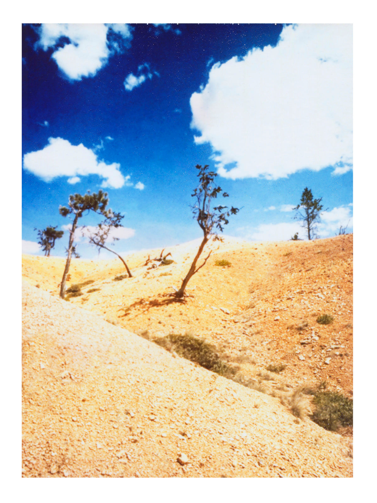 Vertical Landscape Nature Wall Art Print