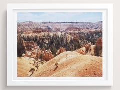Desert Landscape Wall Art Print