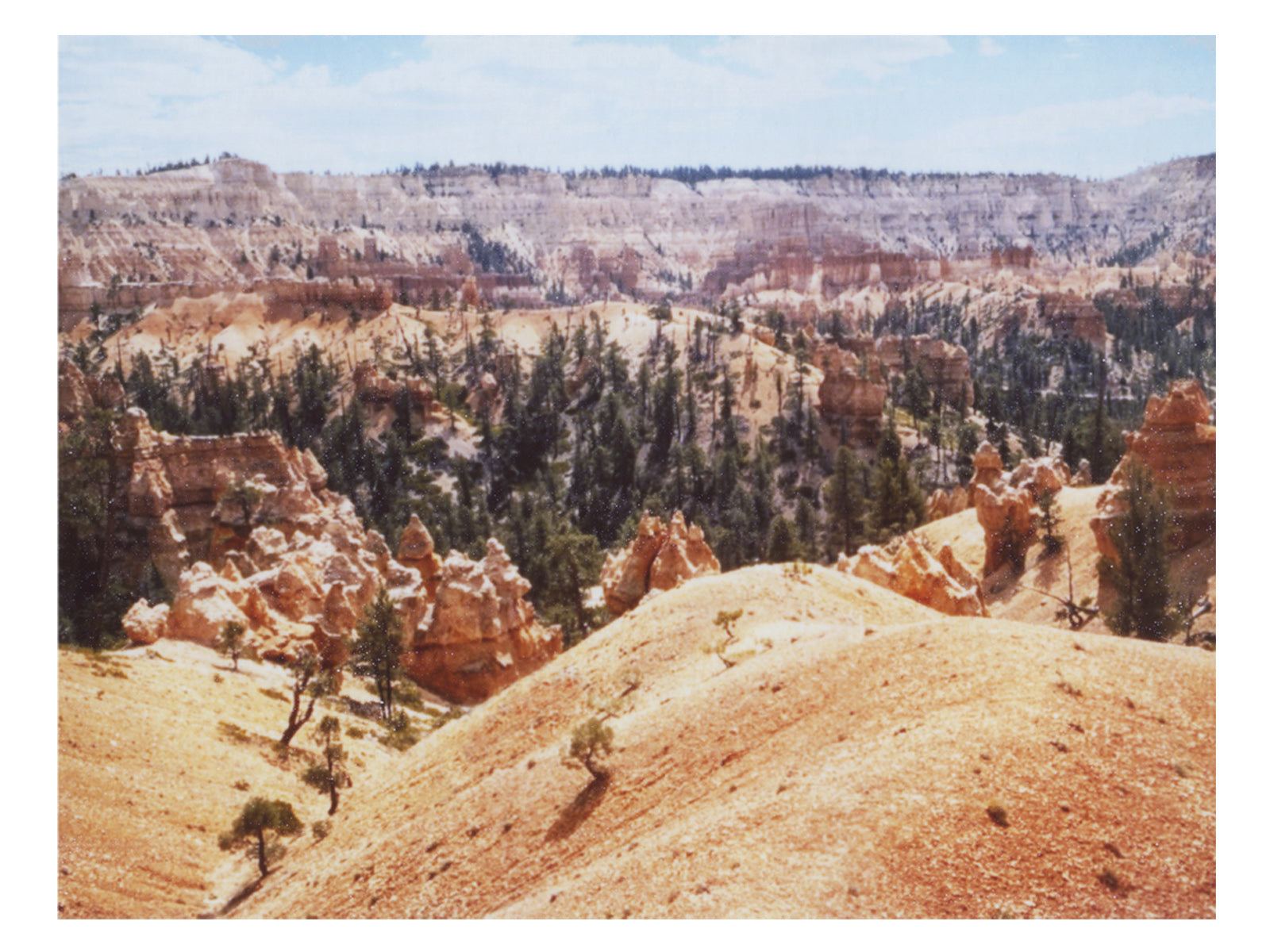 Desert Landscape Wall Art Print