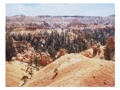 Desert Landscape Wall Art Print