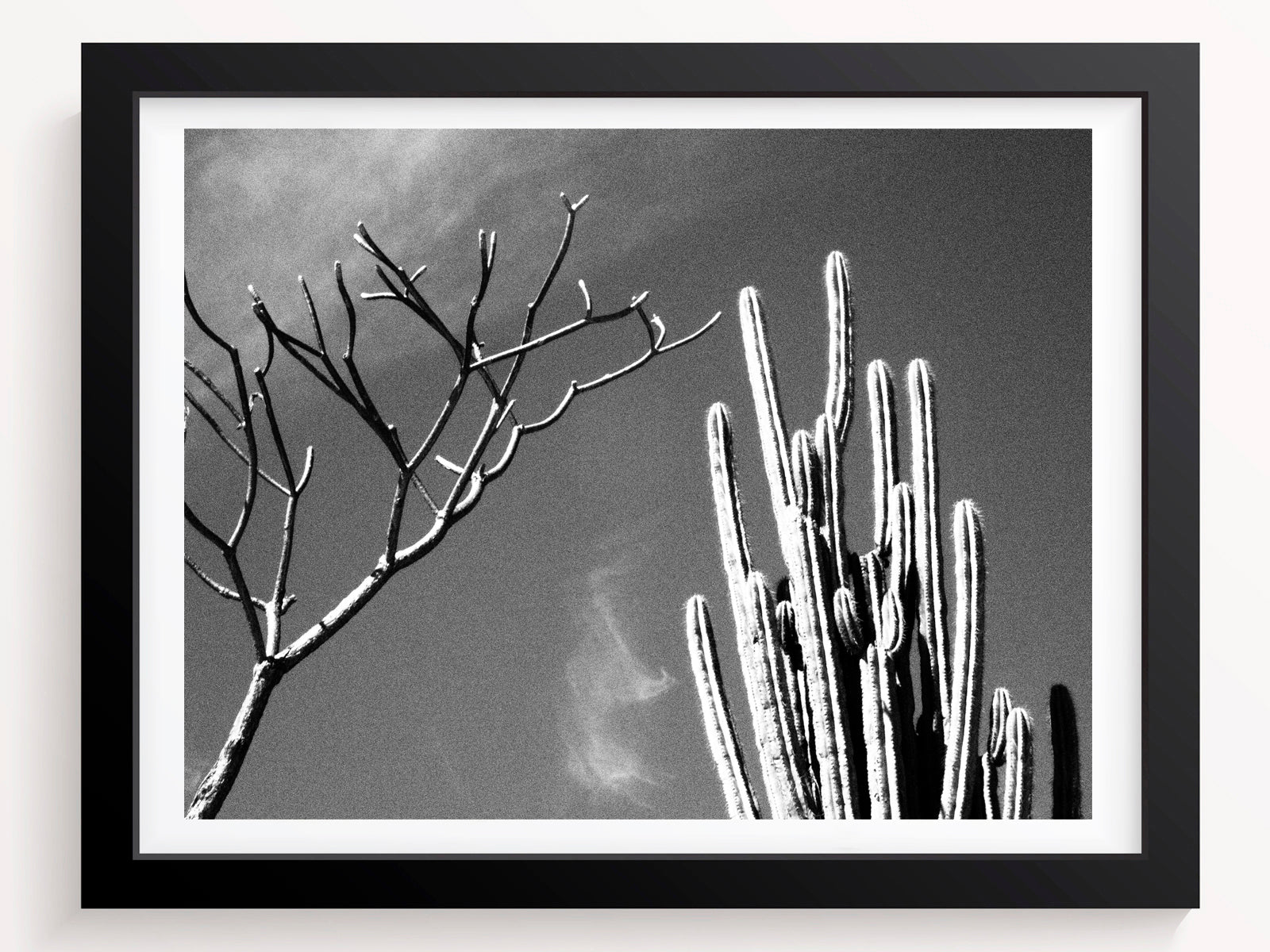 2 best friends - She Hit Pause