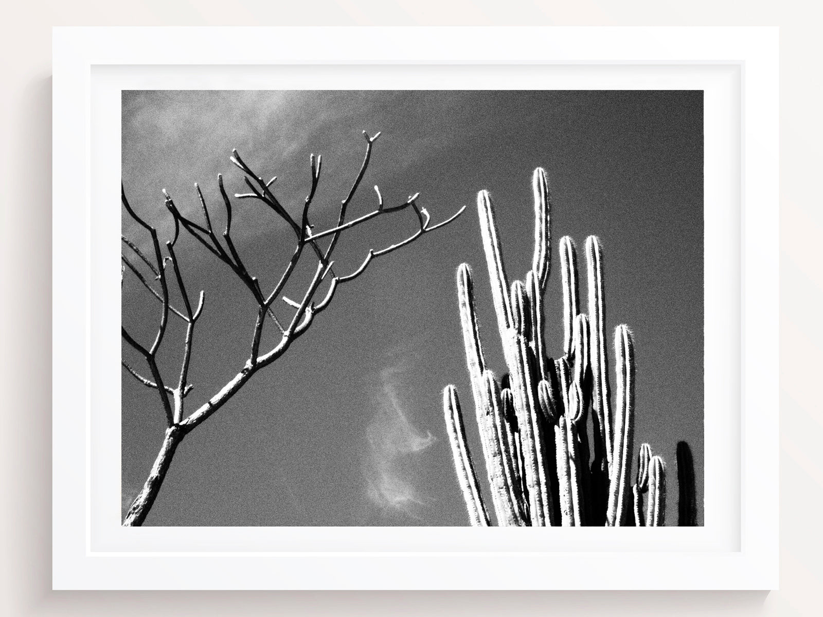 2 best friends - She Hit Pause