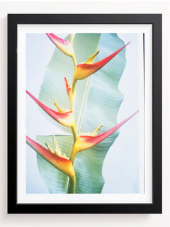 Bloom where you are planted - She Hit Pause