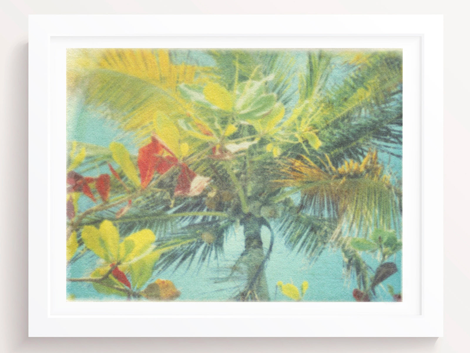 Palm Tree Wall Art Print