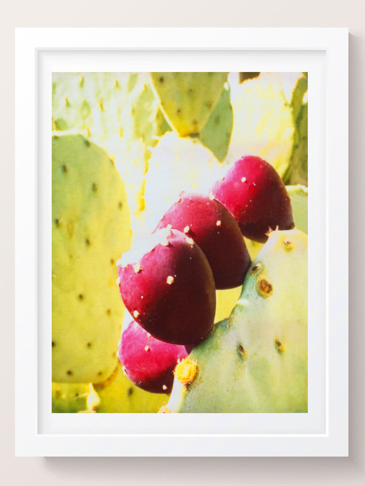 Cactus Wall Art Print