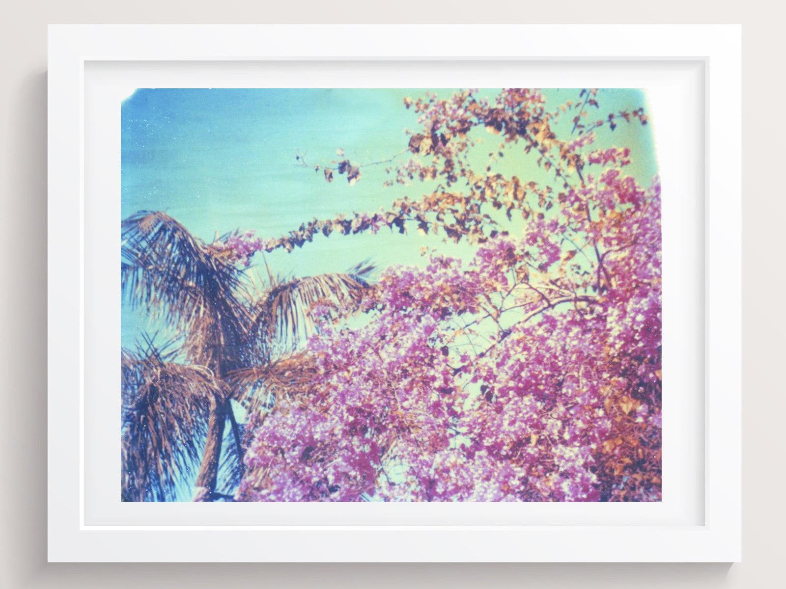 A Wild Tropical Rainbow - She Hit Pause