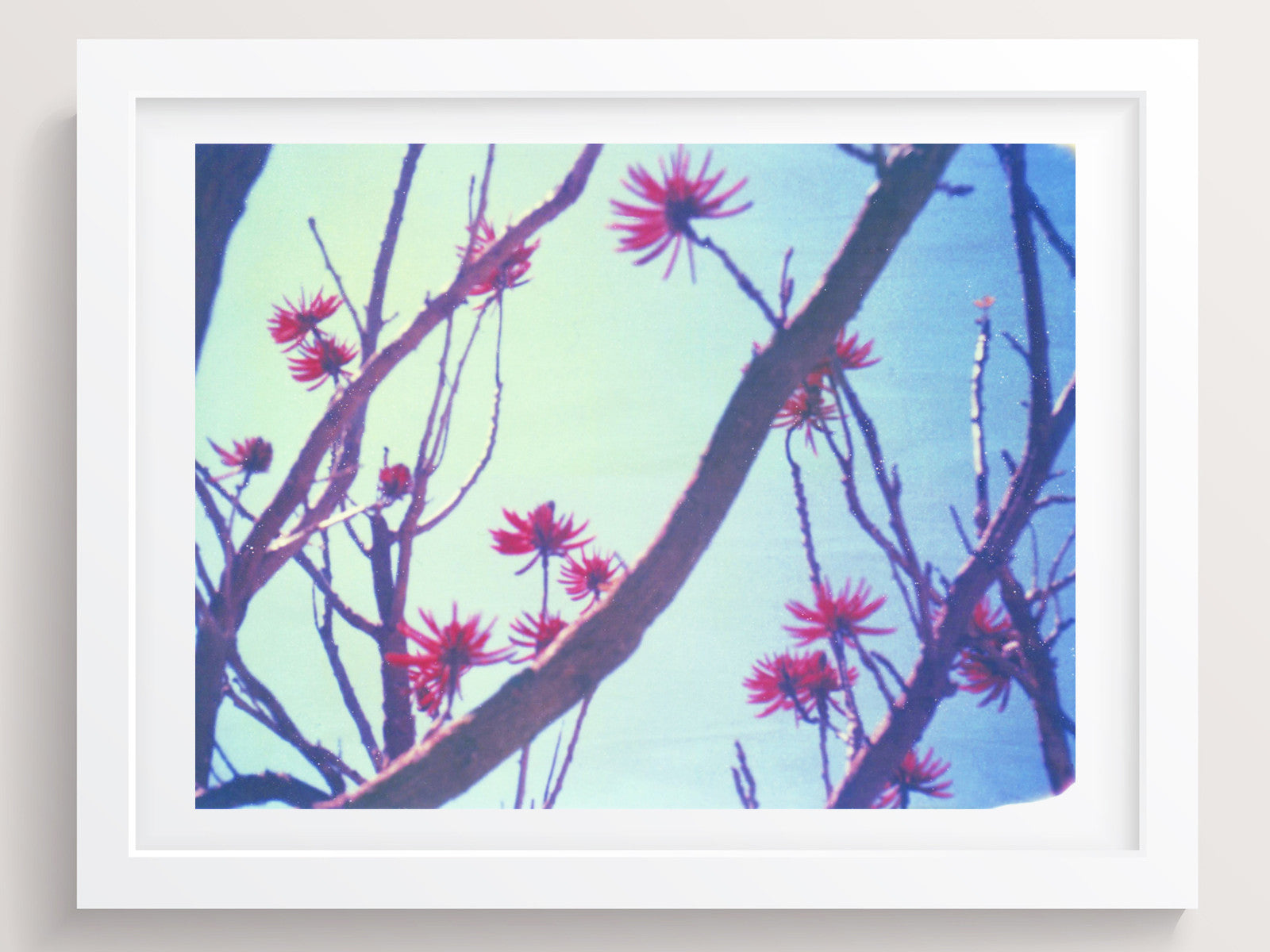 Blue, Red + Branches - She Hit Pause