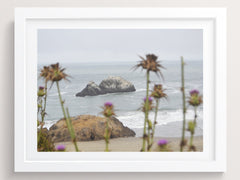 California In Popular Song - She Hit Pause