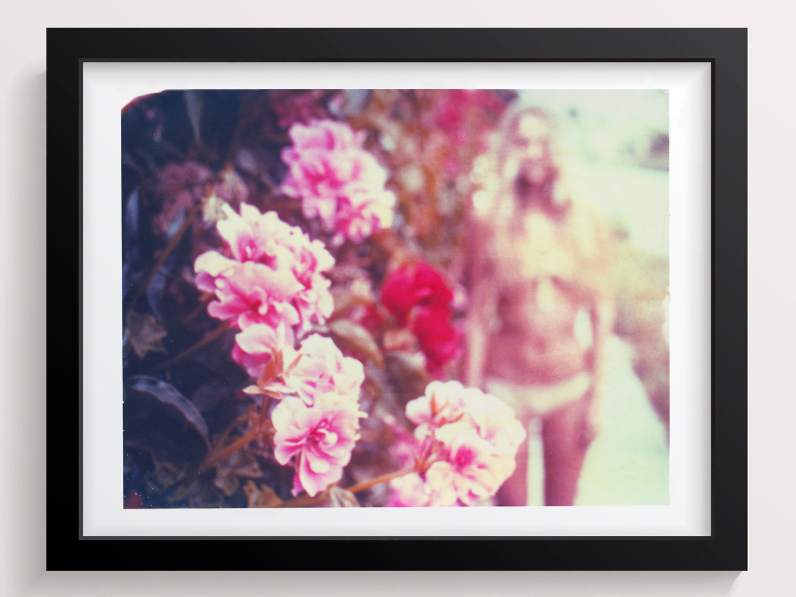 California Pinks + Reds - She Hit Pause