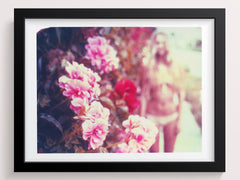 California Pinks + Reds - She Hit Pause