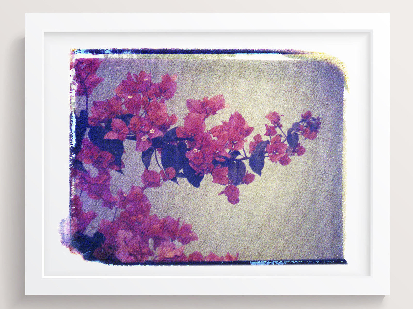 Ecuador Flowers - She Hit Pause