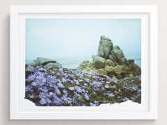 Flowers Dressed In Purple - She Hit Pause