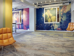 Above The Dirt Road (Costa Rica) - She Hit Pause