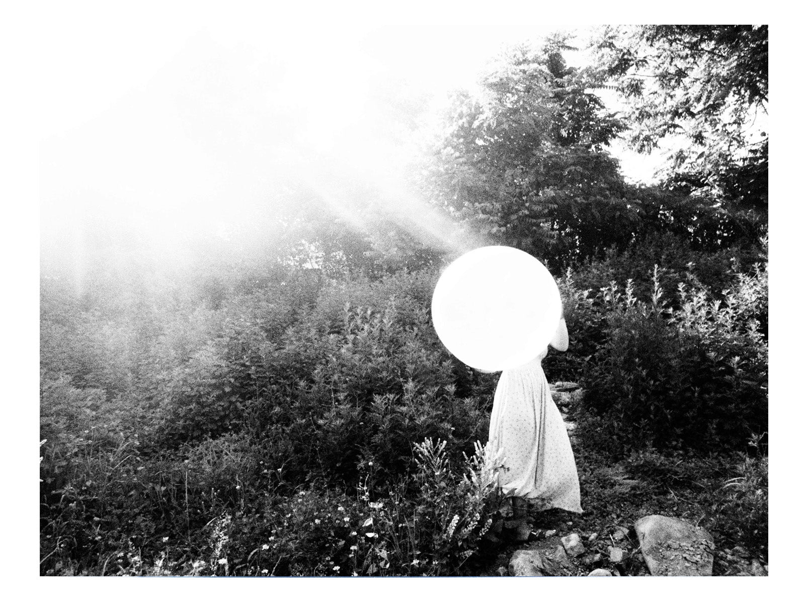 The absence of pink - She Hit Pause