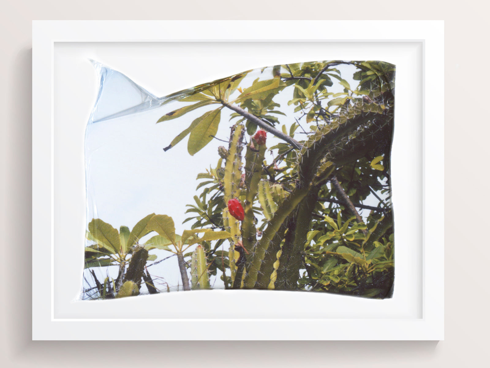 Lost in the Trees - She Hit Pause