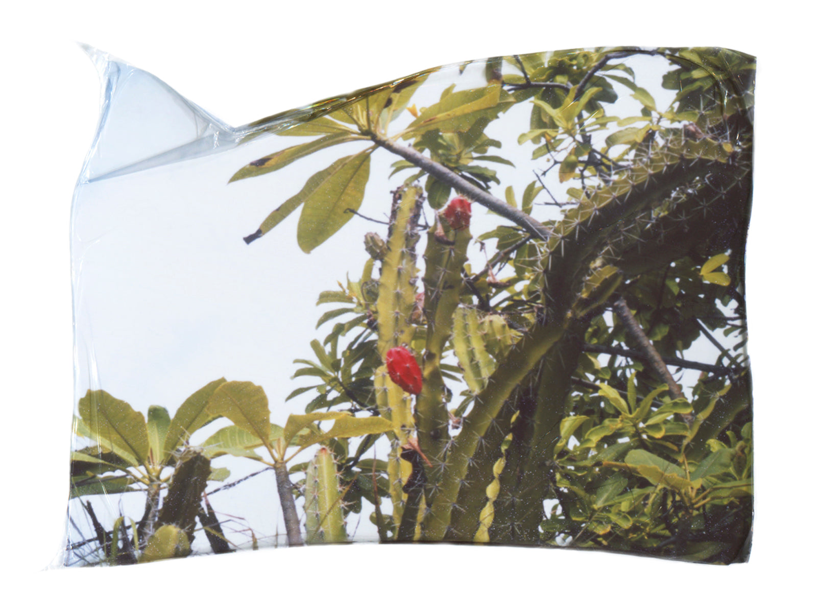 Lost in the Trees - She Hit Pause