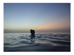 My Love For The Horizon - She Hit Pause