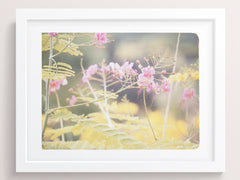 July - She Hit Pause