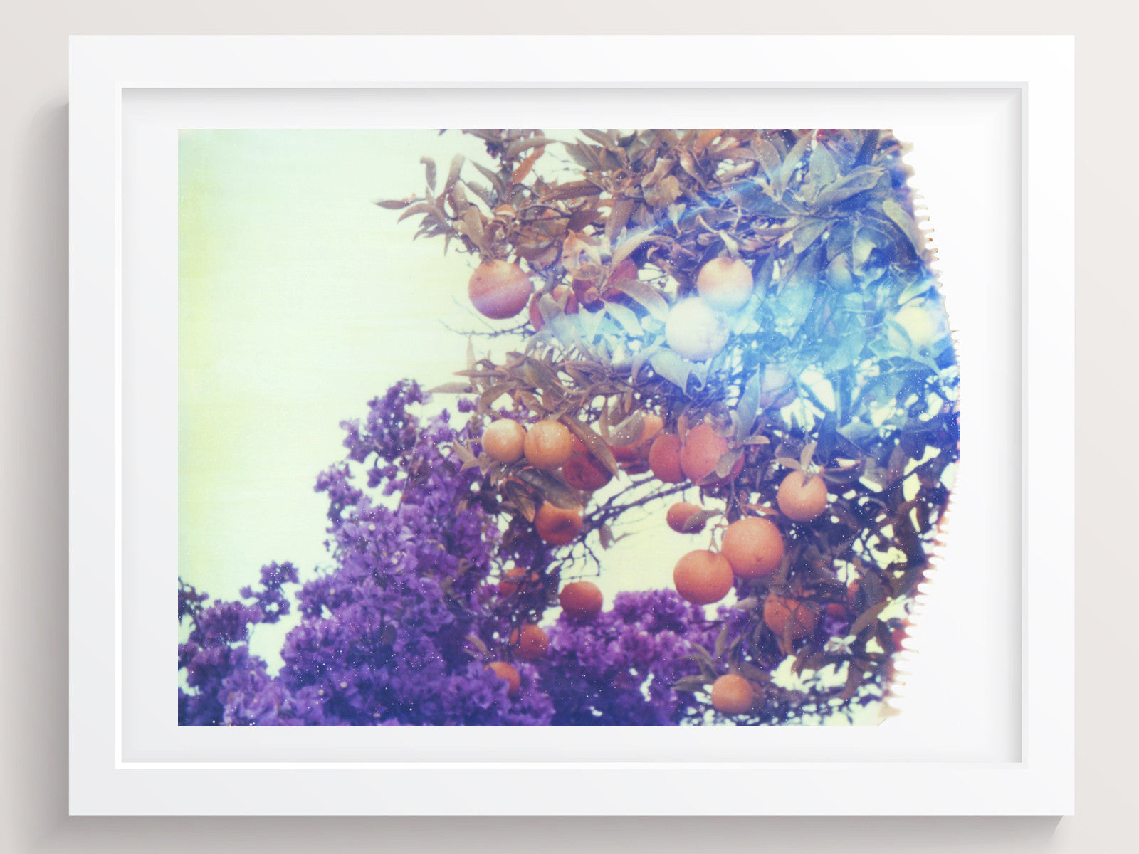 Purples + Oranges - She Hit Pause