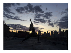 Quiet On Rooftops - She Hit Pause