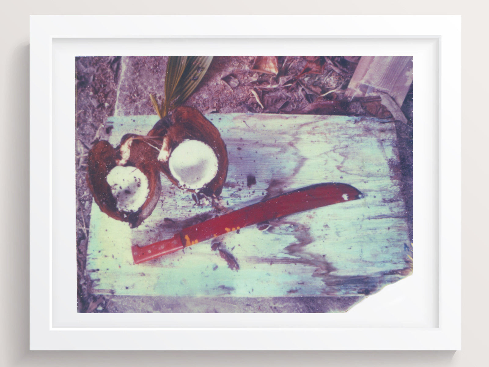 Red, Blue + Coconut - She Hit Pause