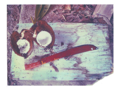 Red, Blue + Coconut - She Hit Pause