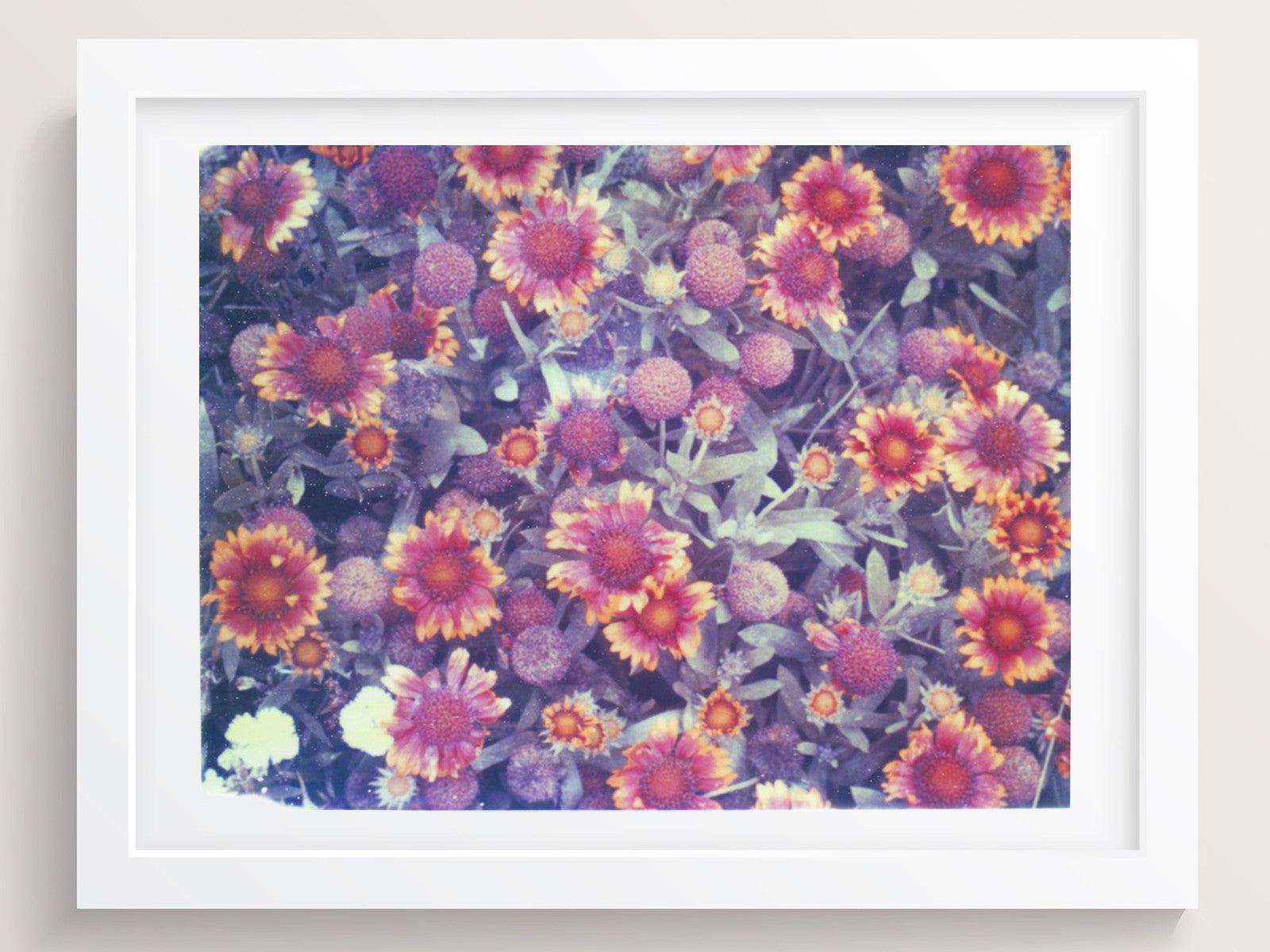 Red To Orange To Yellow - She Hit Pause