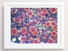 Red To Orange To Yellow - She Hit Pause