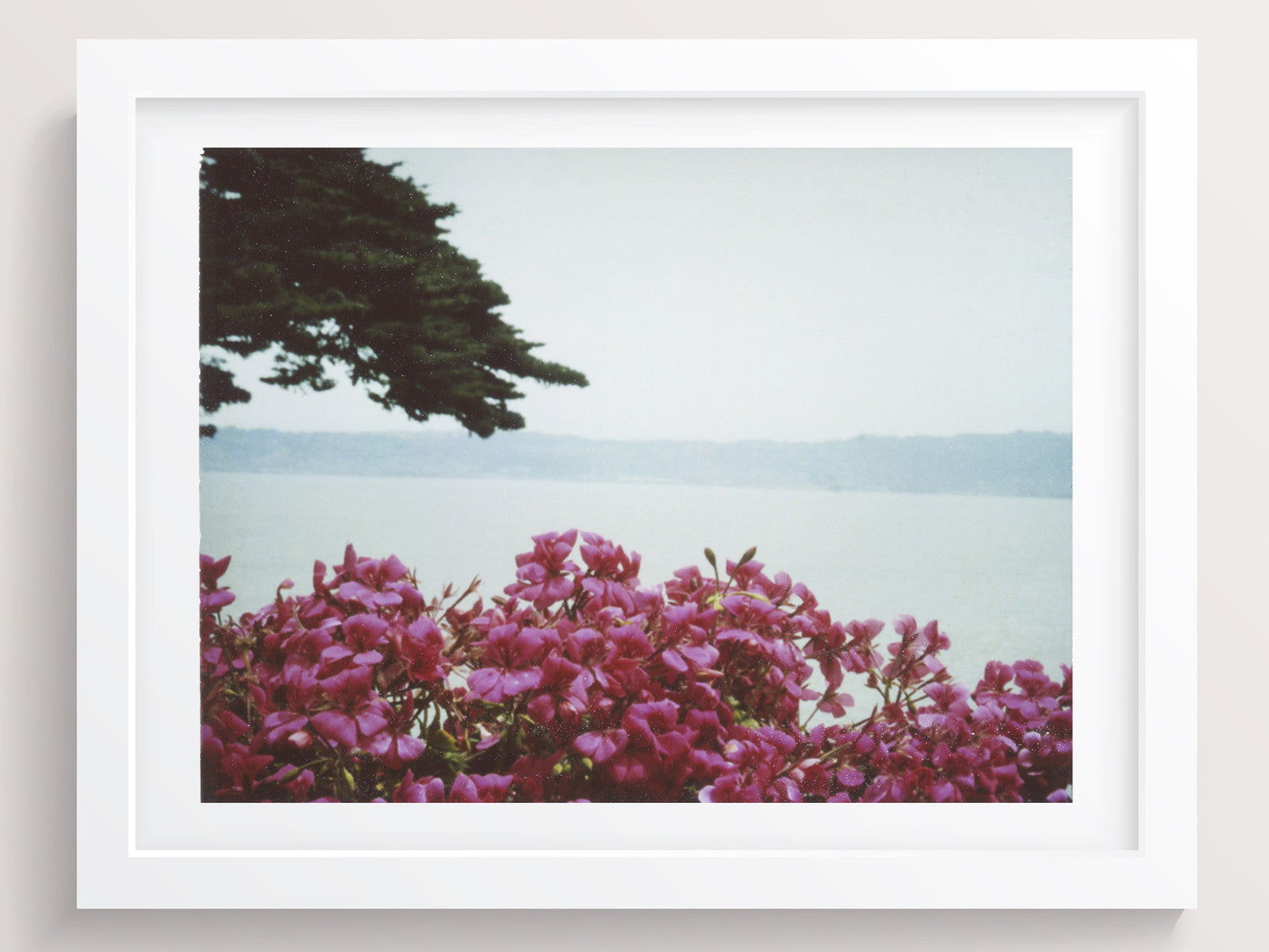 Rest our eyes open - She Hit Pause