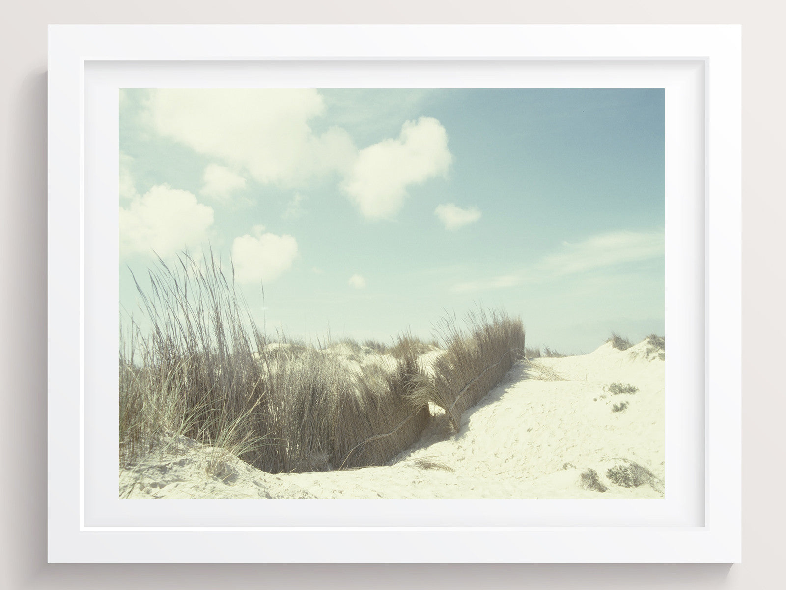 Silent Pales - She Hit Pause