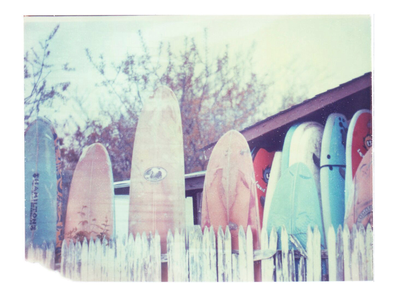 Sno Cone (Montauk) - She Hit Pause