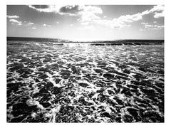 Morning brought newness - She Hit Pause