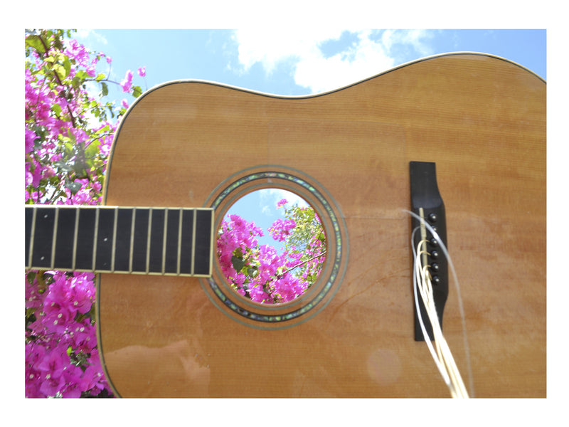 Through My Broken Guitar - She Hit Pause