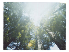 Tilting Our Heads Upwards, We Found Another World - She Hit Pause