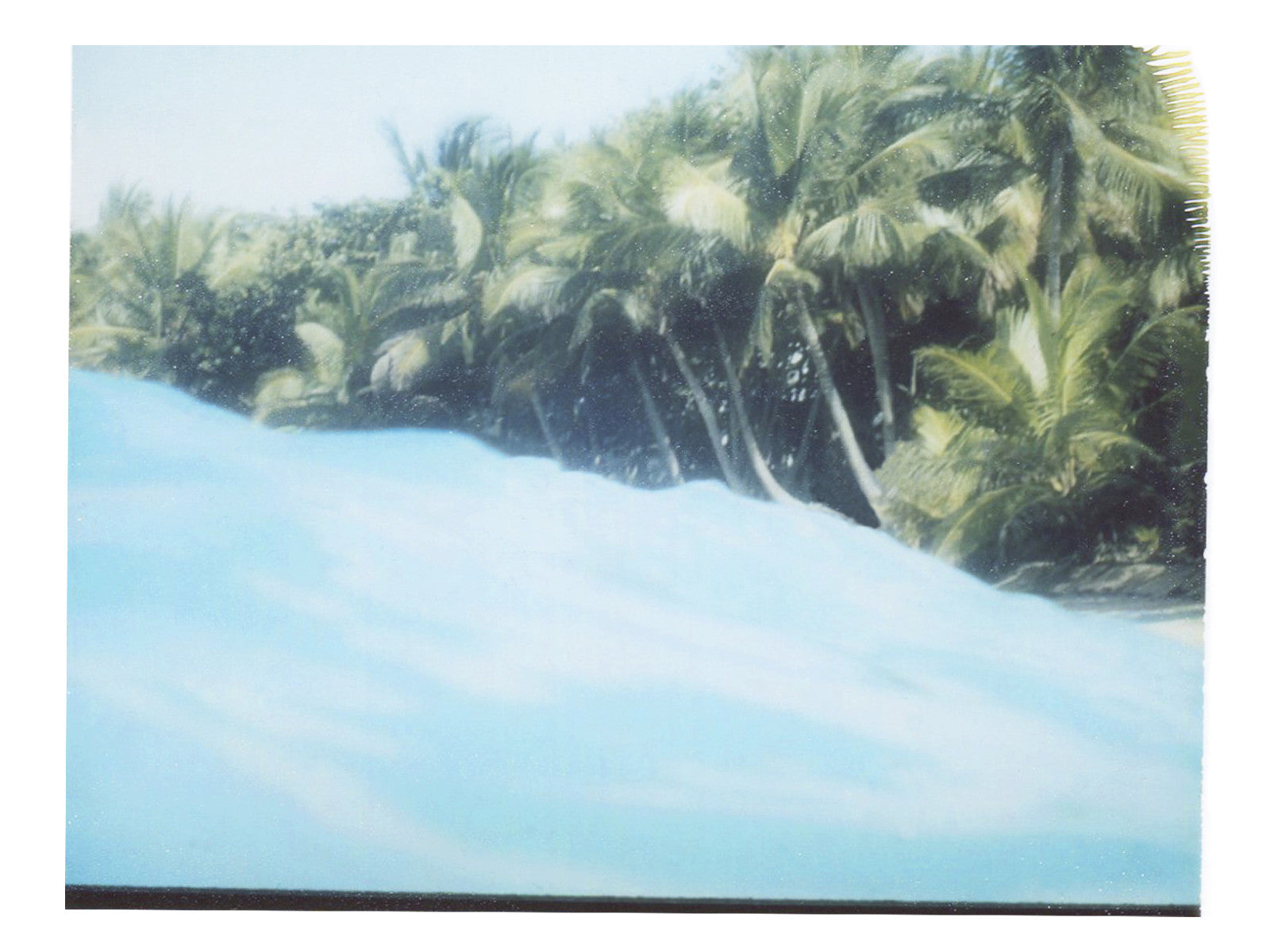 Trees Sprout From Blue - She Hit Pause