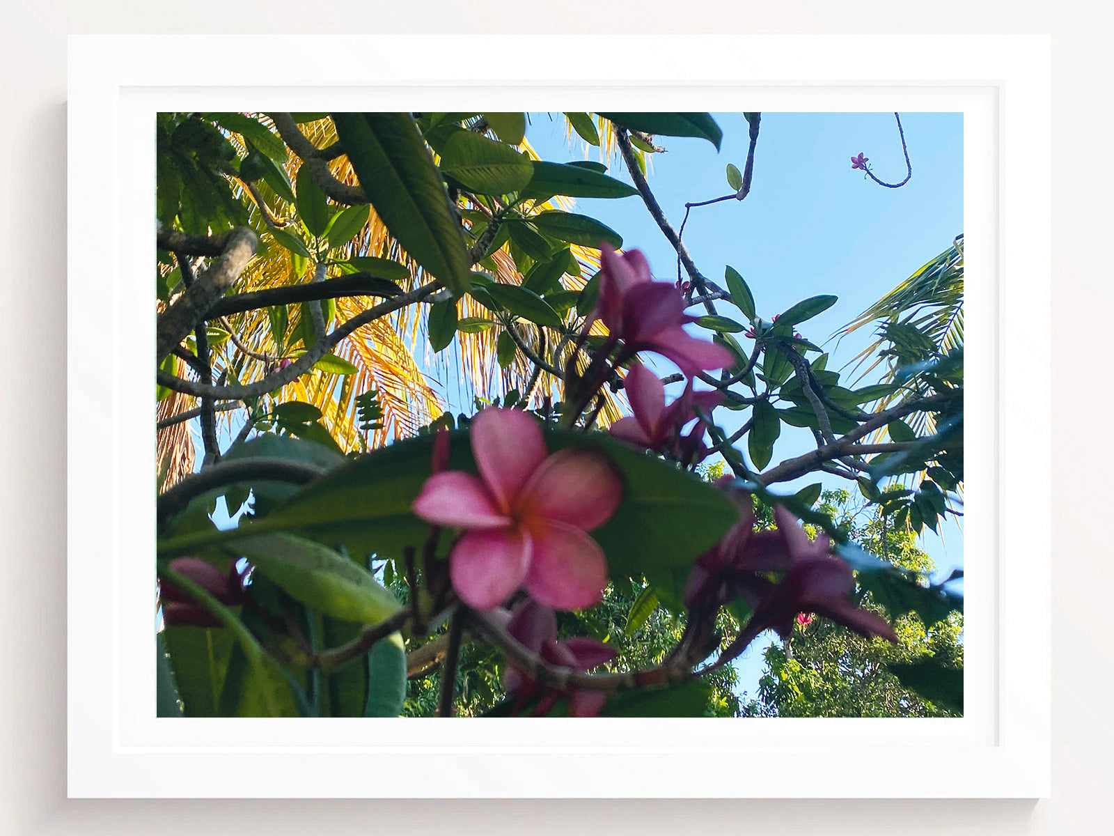 Tropical Flowers Wall Art Print