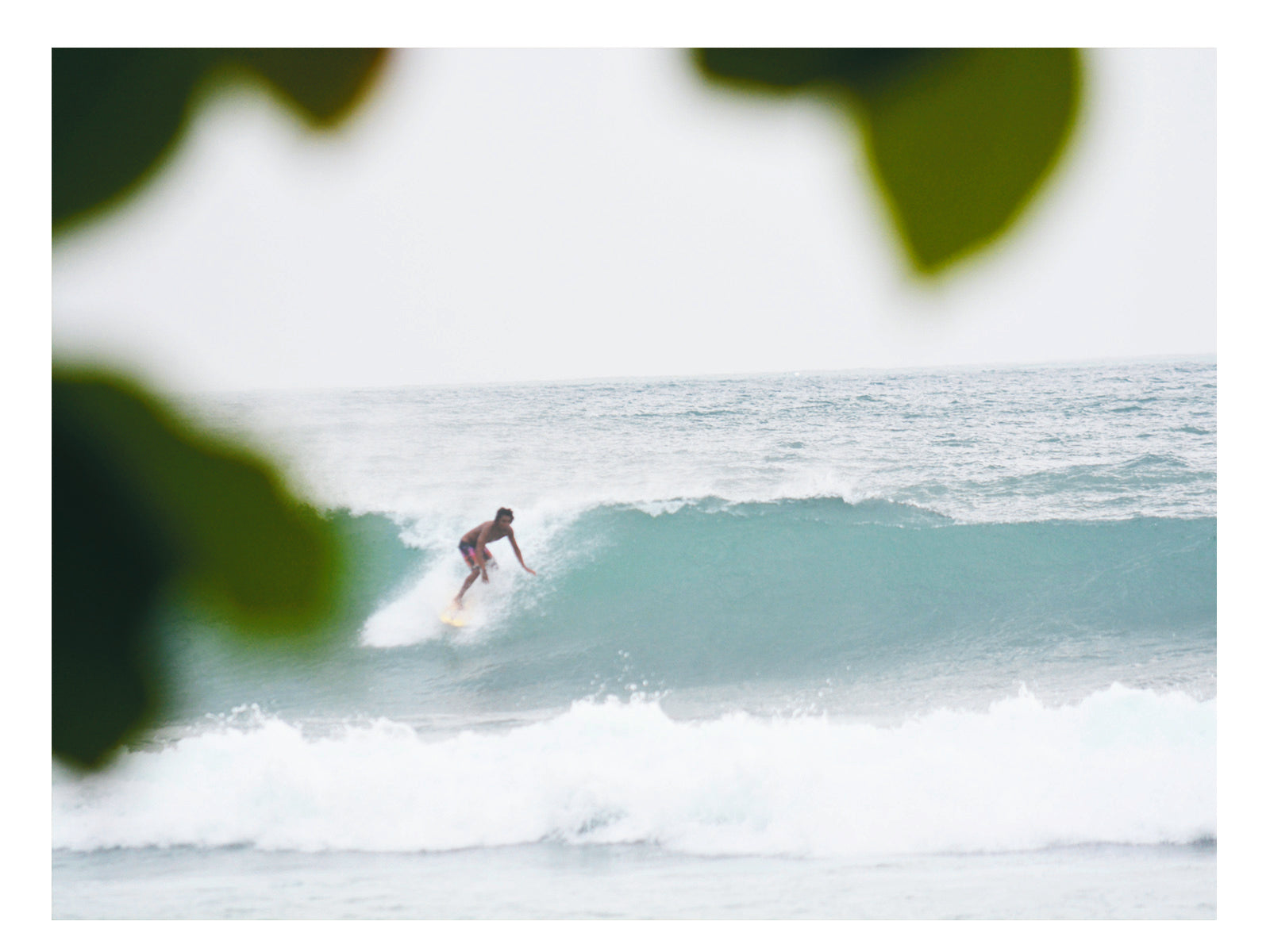 Surf Wall Art Photography