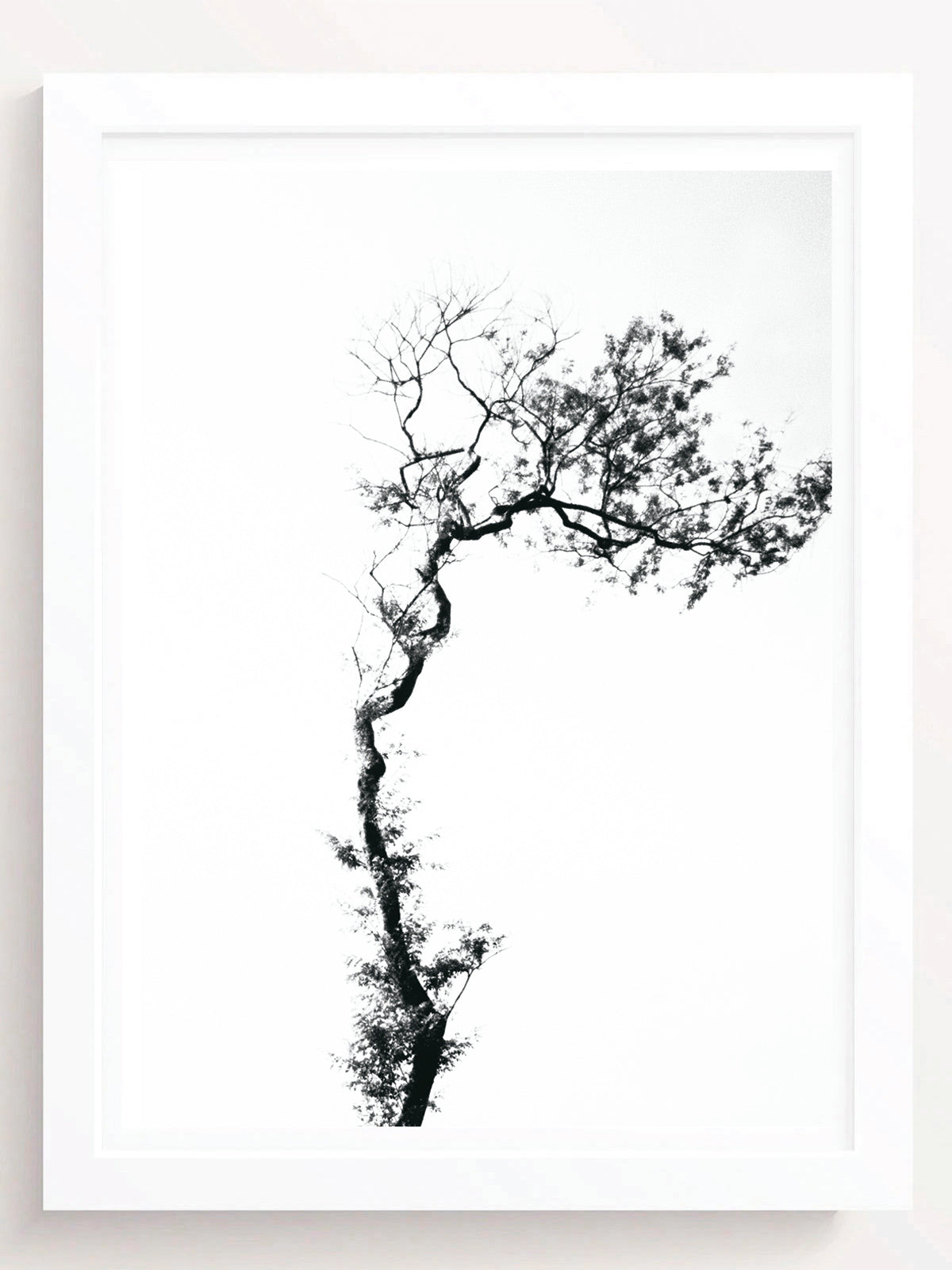 Minimalist Nature Fine Art Print