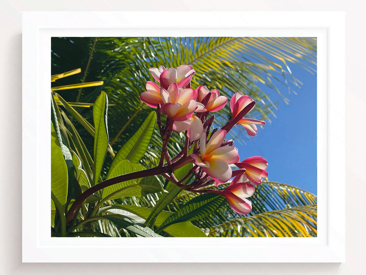 Tropical Flowers Wall Art Print