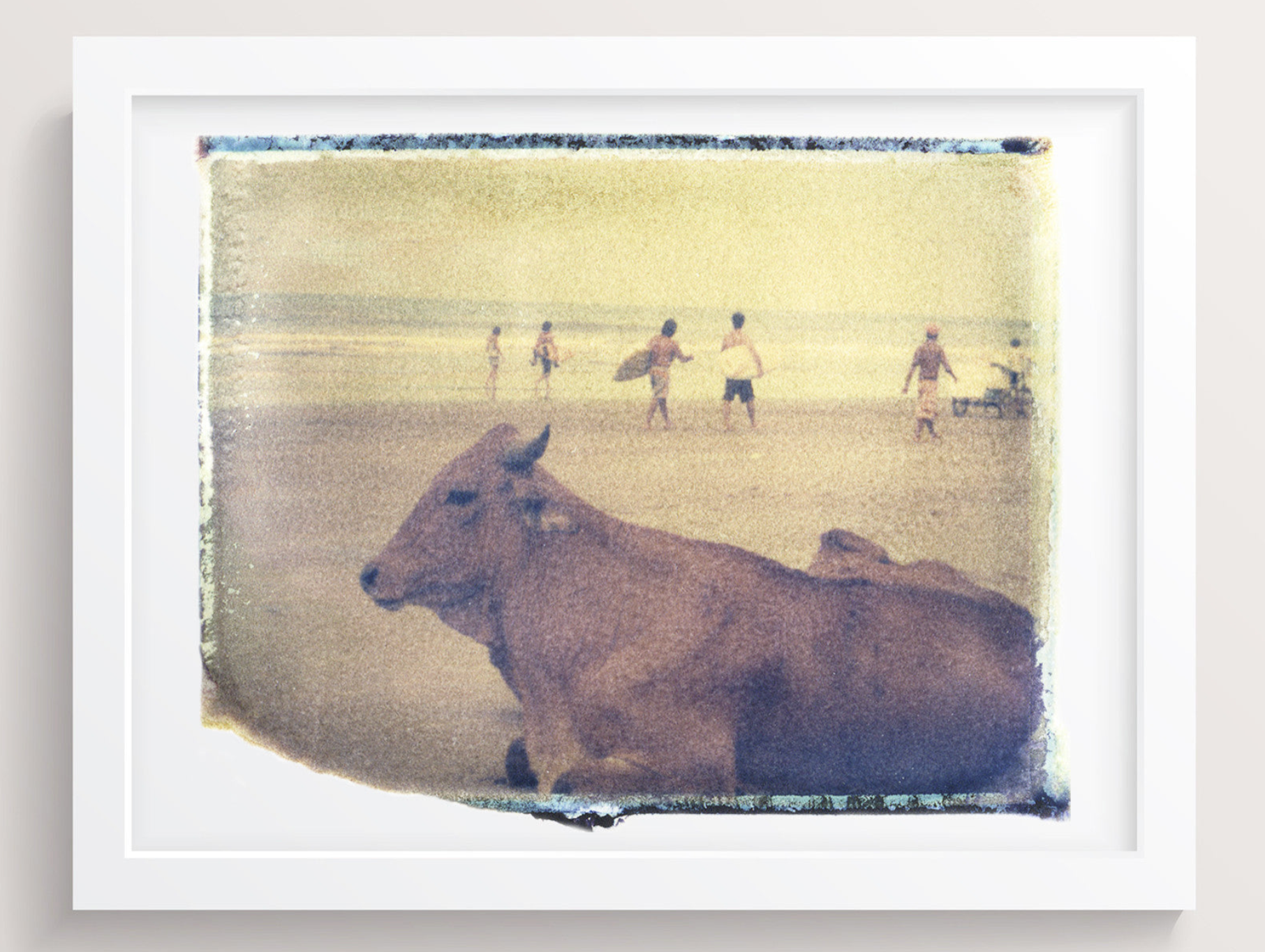Surf Cow - Install