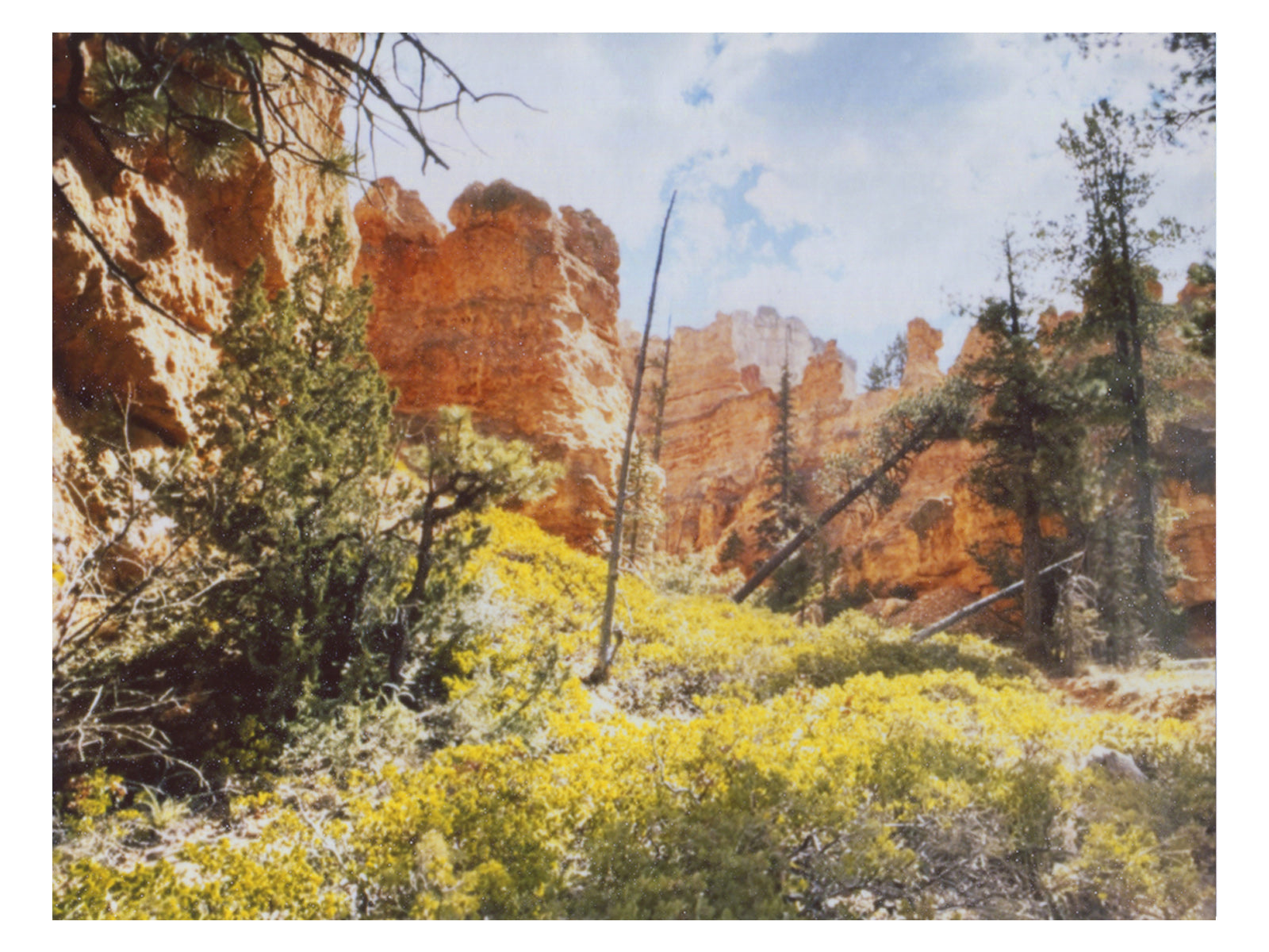 Utah Landscape Wall Art Print