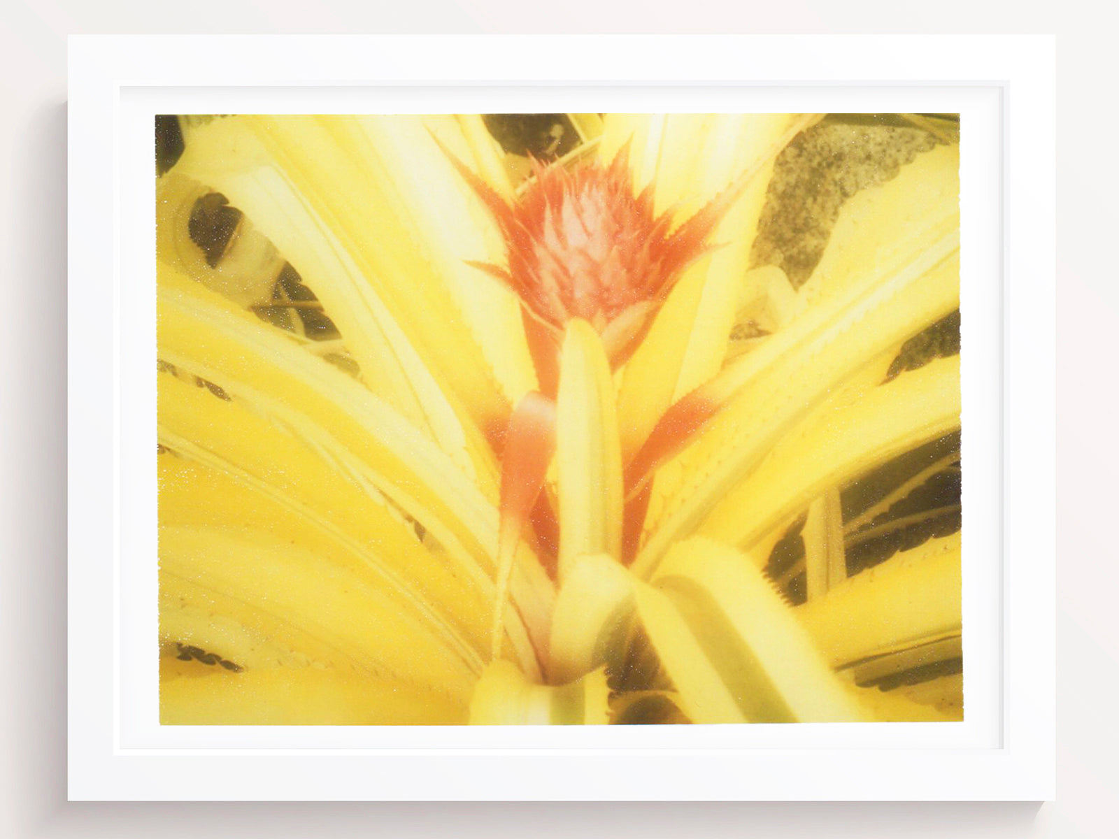 Tropical Flowers Wall Art Print