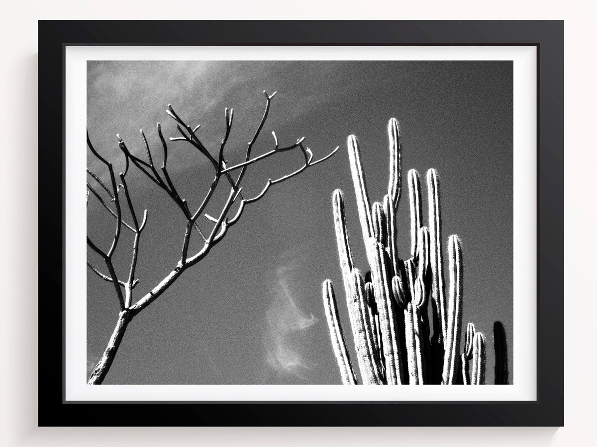 2 best friends - She Hit Pause