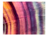 Redefining Rainbows (horizontal)
