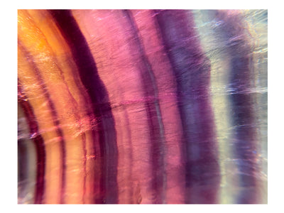 Redefining Rainbows (horizontal)