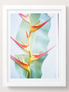 Bloom where you are planted - She Hit Pause