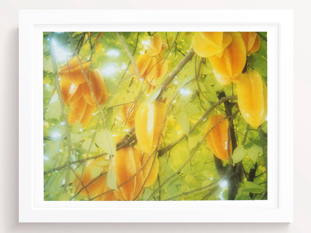 Vintage Tropical Fruit Wall Art Print