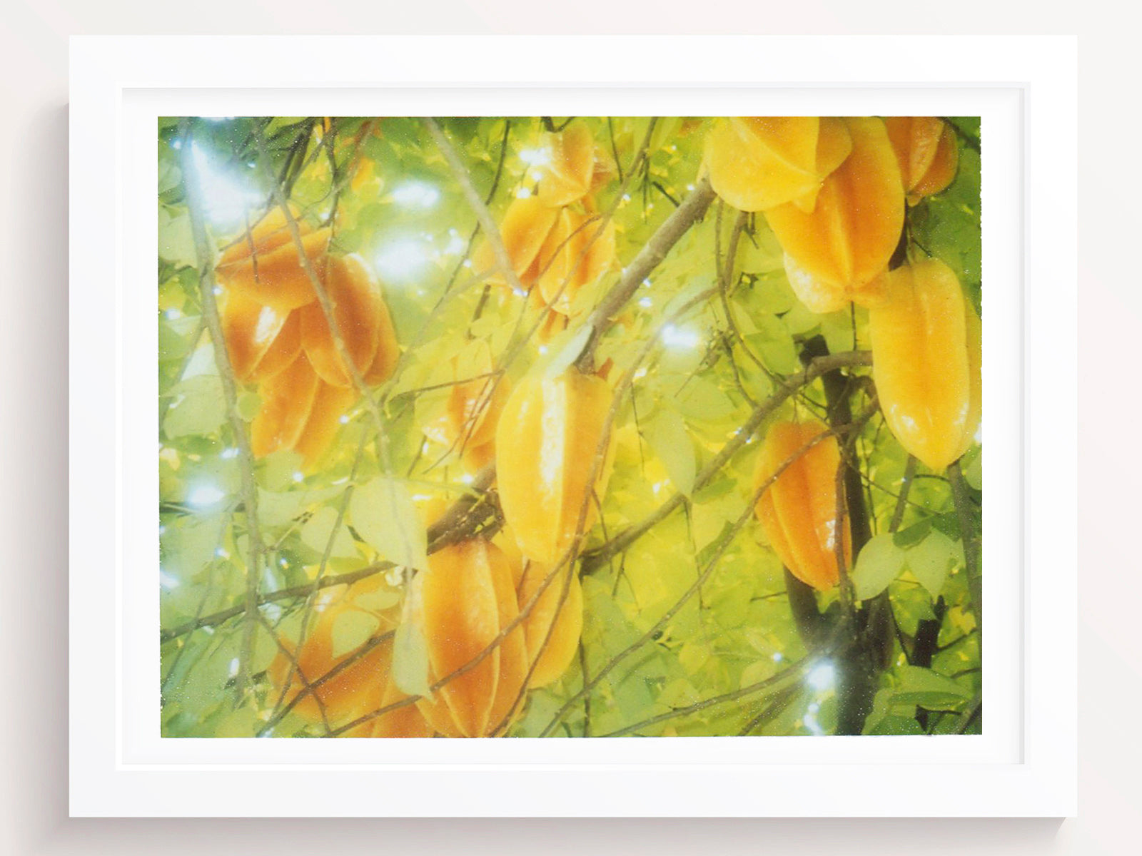 Vintage Tropical Fruit Wall Art Print