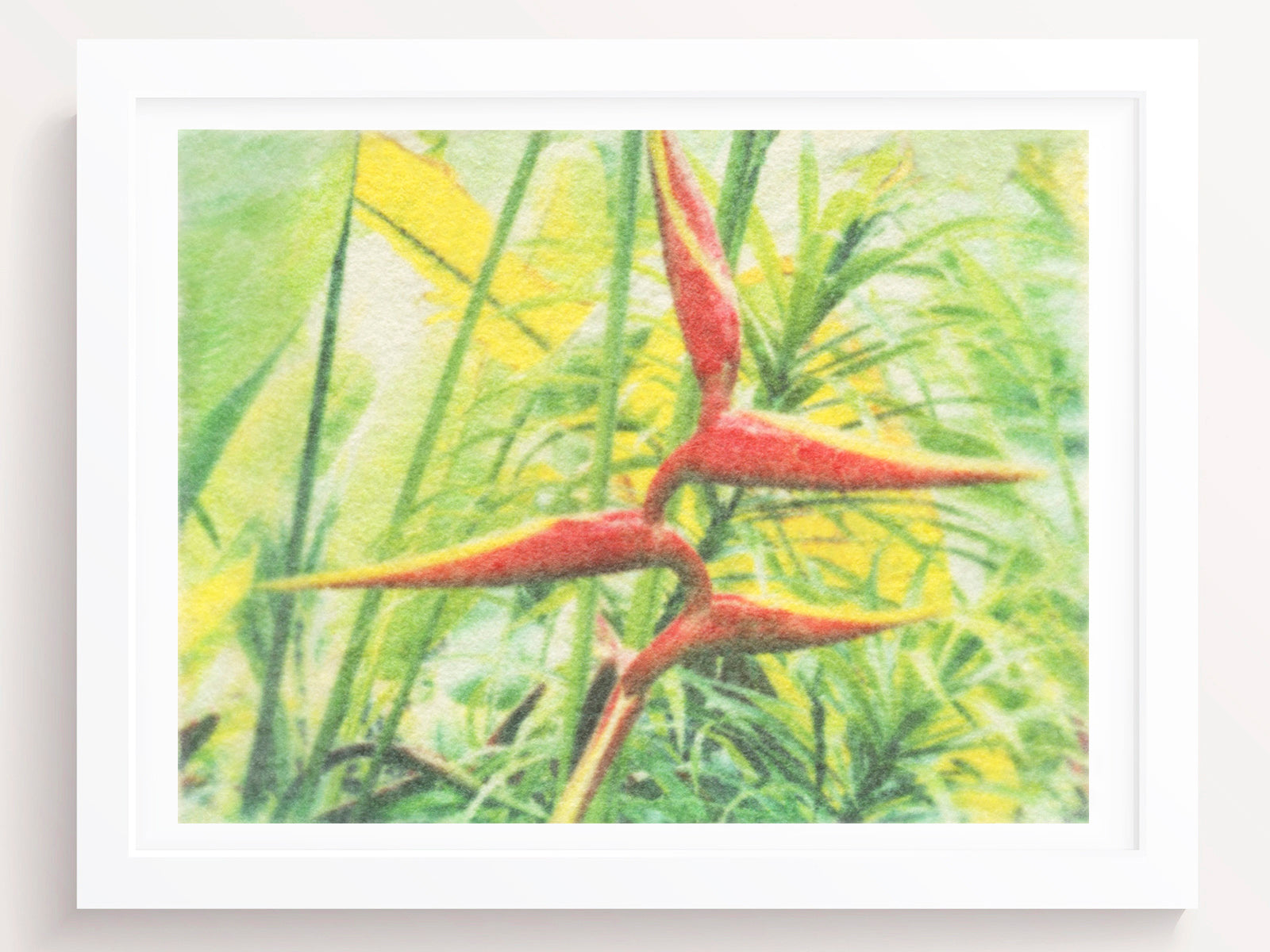Birds of Paradise Wall Art Print